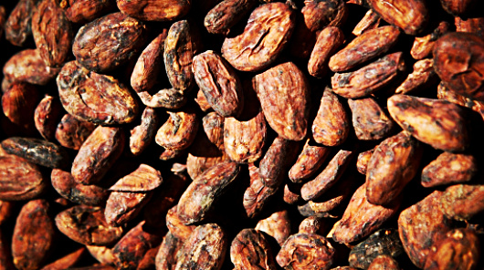 El Perú cuenta con más de la mitad de variedades de cacao en el mundo. Foto: elcomercio.pe
